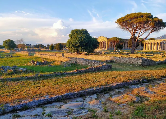 Il Giardino Di Athena