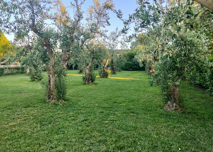 Il Giardino Di Athena