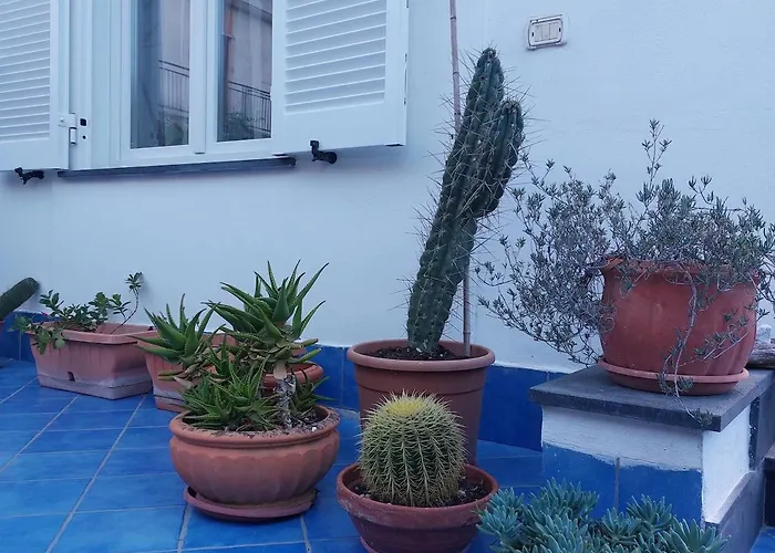 House With Garden Close To The Beach Free Parking